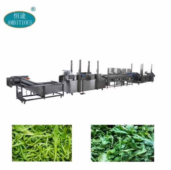 インゲン洗浄・風乾・湯通し・冷却機