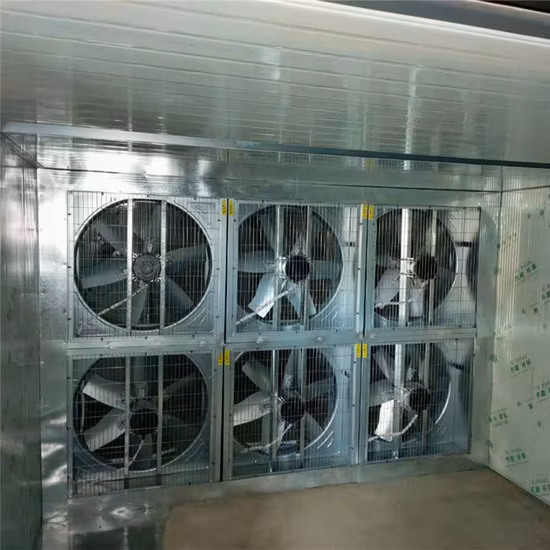 熱風果物乾燥装置リンゴ乾燥機